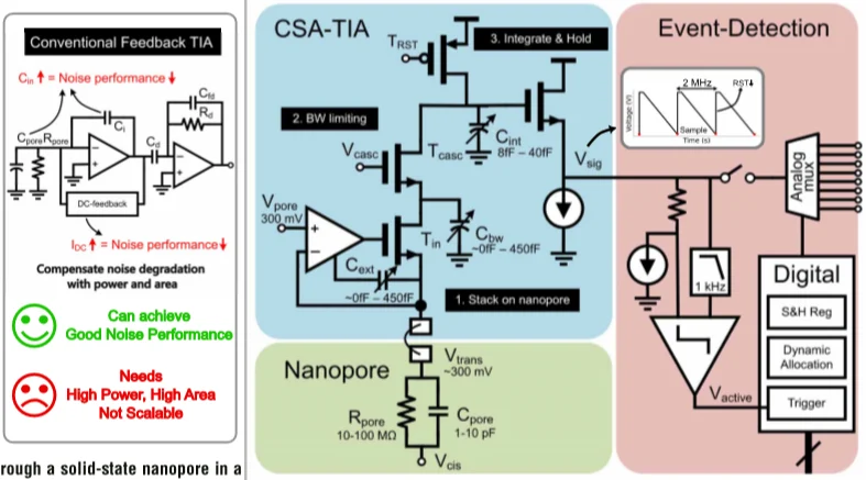 256-channel nanopore readout architecture with charge-sensitive TIA and event detection circuit