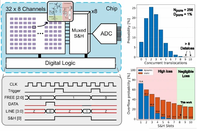 Dynamic sample-and-hold allocation reducing data rate in event-driven nanopore sensing system